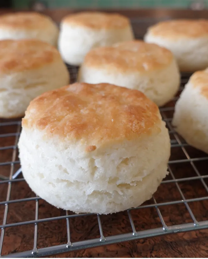 A cooling rack full of beautiful golden brown and flaky gluten-free biscuits