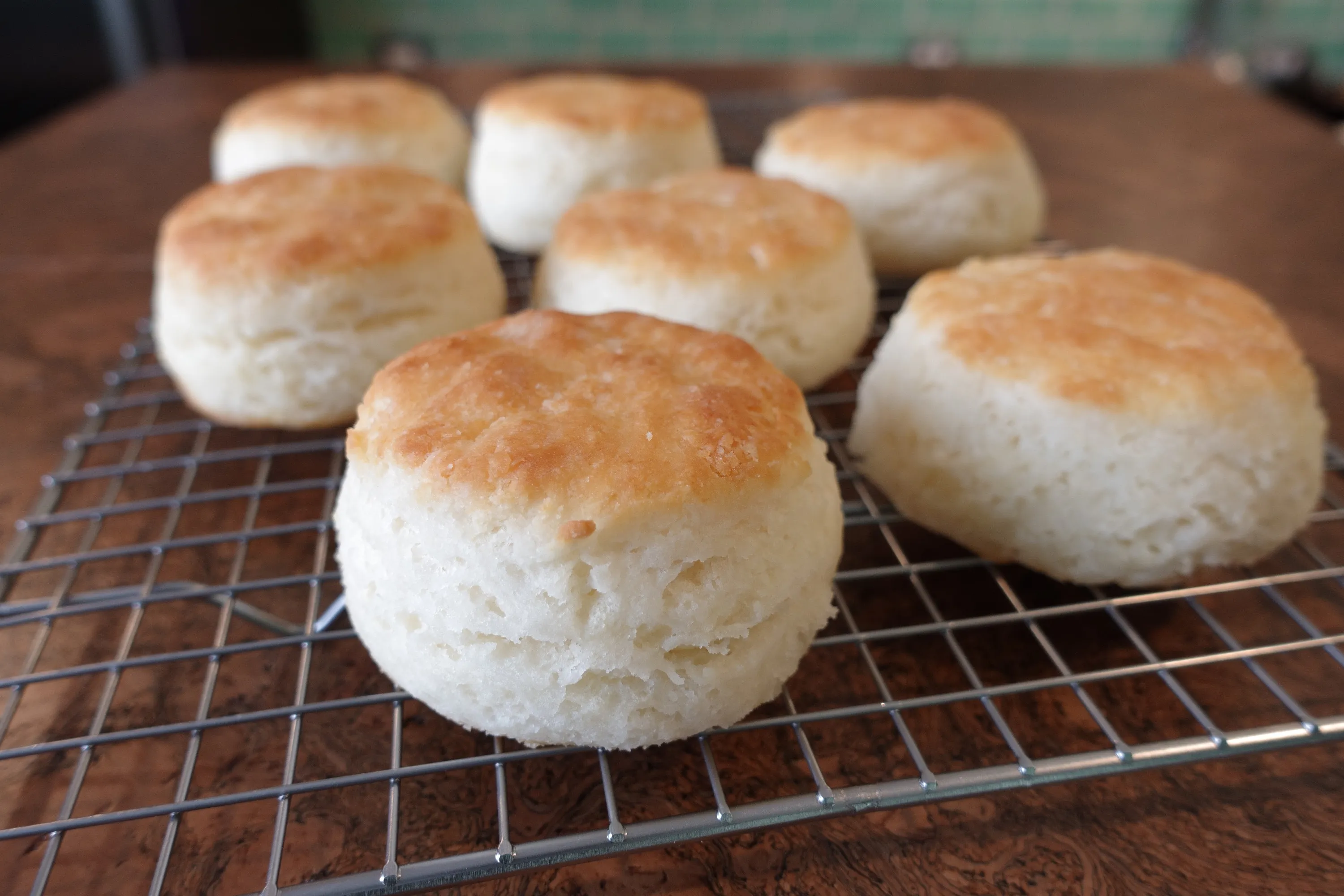 A plate of flaky Southern-style biscuits